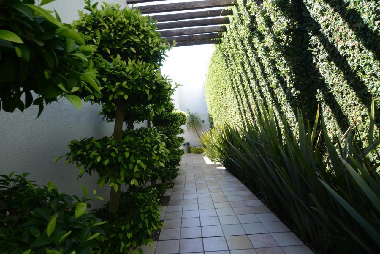 Suites La Fe Oaxaca Eksteriør billede
